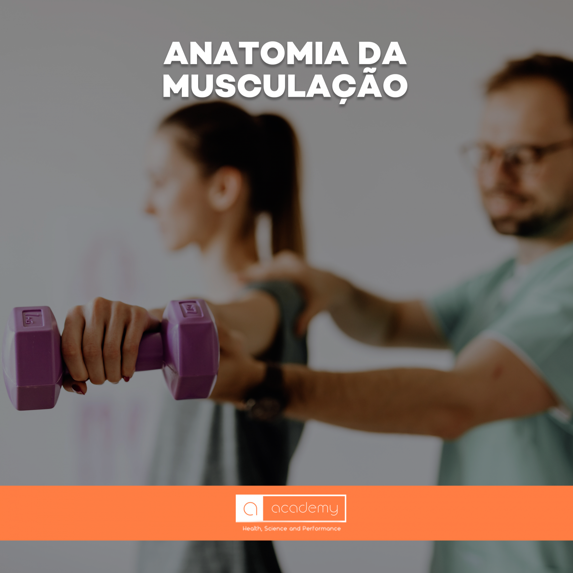 Anatomia da musculação :: Personal Training