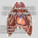 Curso de Anatomia do Aparelho Circulatório